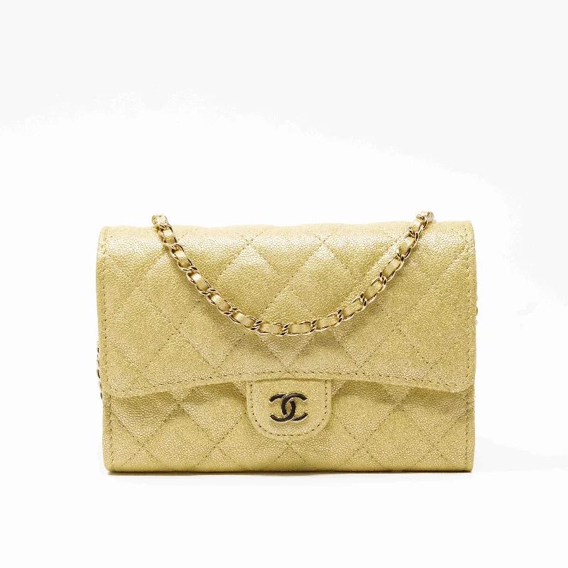 Eco-friendly tote bags for shoppingChanel Yellow Iridescent Mini Wallet On Chain